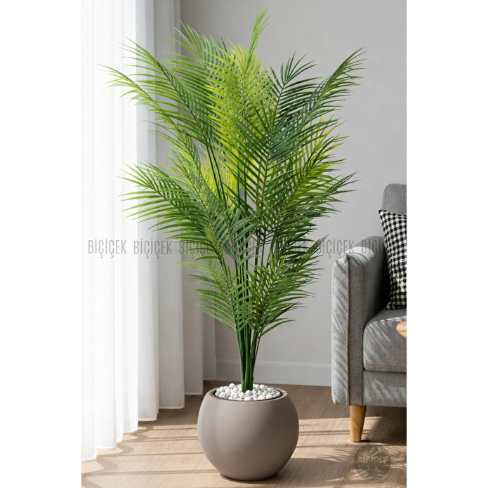 Biçiçek Areka Ağaci 24 Yaprakli 130 Cm Küre Saksida Kahverengi