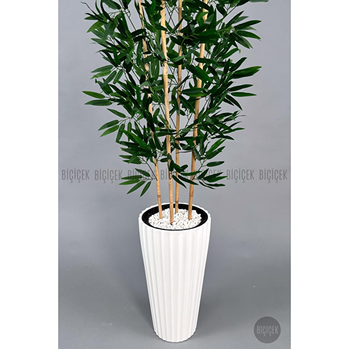 Biçiçek Yapay Bambu Ve Benjamin 4 Dal Yoğun Yapraklı 180 Cm Beyazbambu