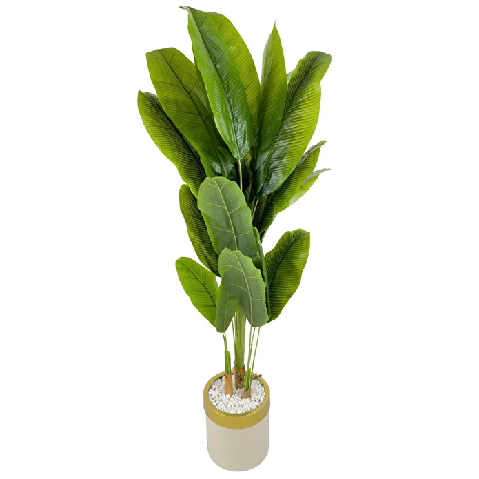 Biçiçek Muz Ağacı 200cm Krem Gold Metal Saksıda