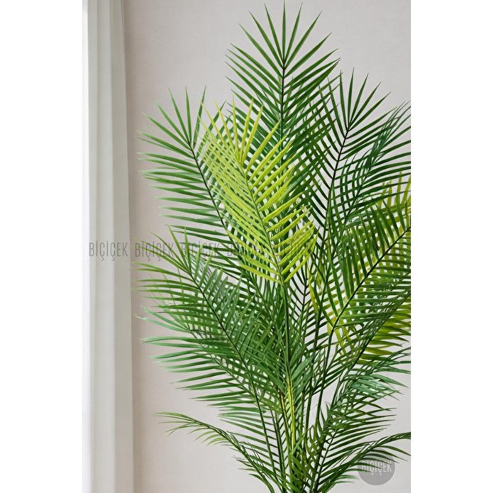 Biçiçek 180 Cm Areka Ağaci 24 Yaprakli Li̇lyum Saksida Beyaz