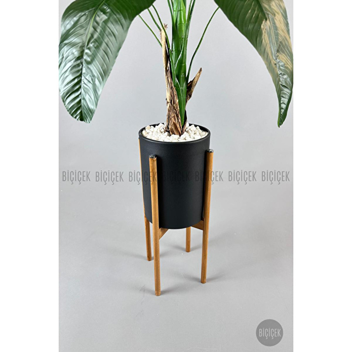 Biçiçek Muz Ağacı Tek Gövde 125-175 Cm Metalik