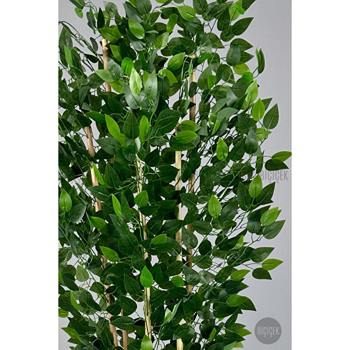 Biçiçek Yapay Bambu Ve Benjamin 6 Dallı Yoğun Yapraklı 220 Cm Beyazbenjami̇n