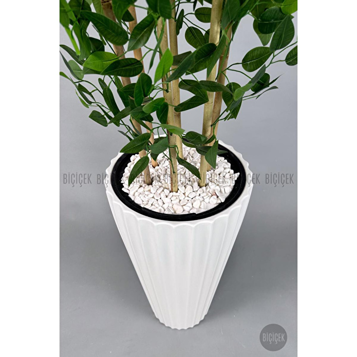 Biçiçek Yapay Bambu Ve Benjamin 6 Dallı Yoğun Yapraklı 220 Cm Beyazbenjami̇n