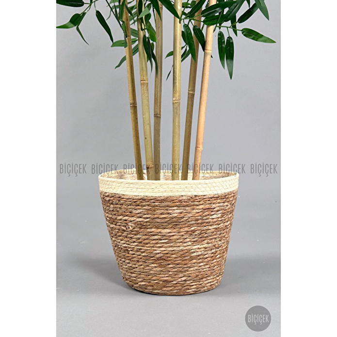 Biçiçek Yapay Bambu Ağacı 170cm Krem Şeritli Hasır Saksıda