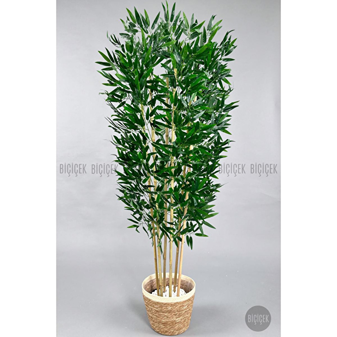 Biçiçek Yapay Bambu Ağacı 170cm Krem Şeritli Hasır Saksıda