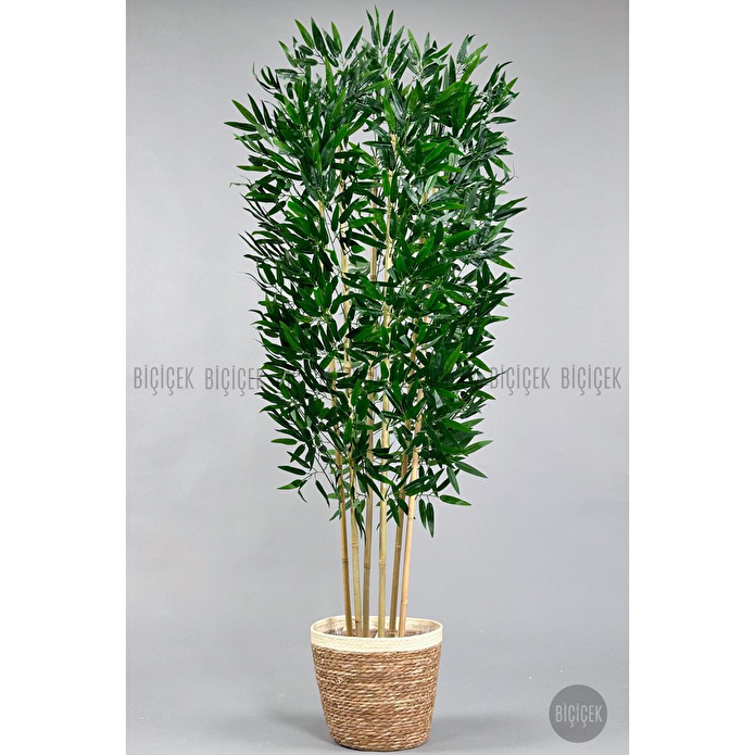 Biçiçek Yapay Bambu Ağacı 170cm Krem Şeritli Hasır Saksıda