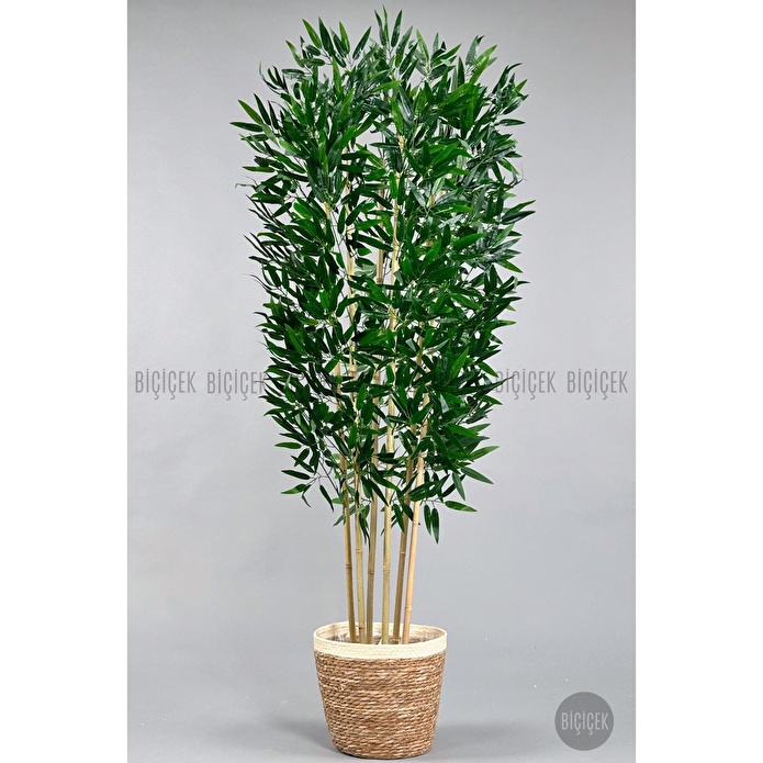 Biçiçek Yapay Bambu Ağacı 170cm Krem Şeritli Hasır Saksıda