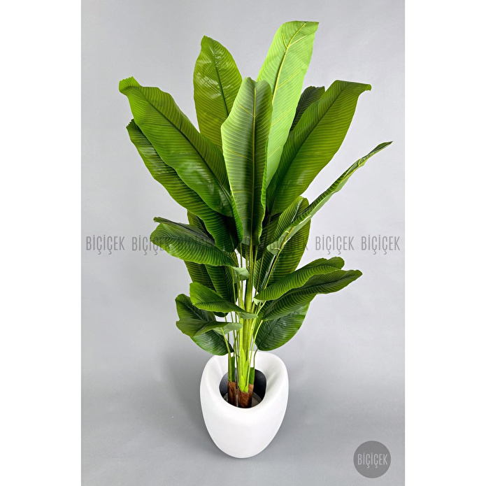 Biçiçek Yapay Muz Ağacı 185-220 Cm Beyaz