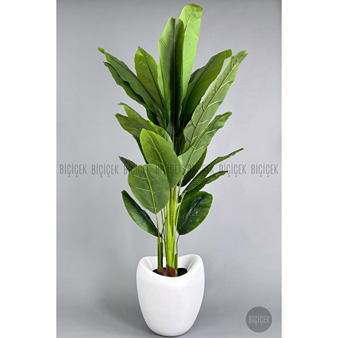 Biçiçek Yapay Muz Ağacı 185-220 Cm Beyaz