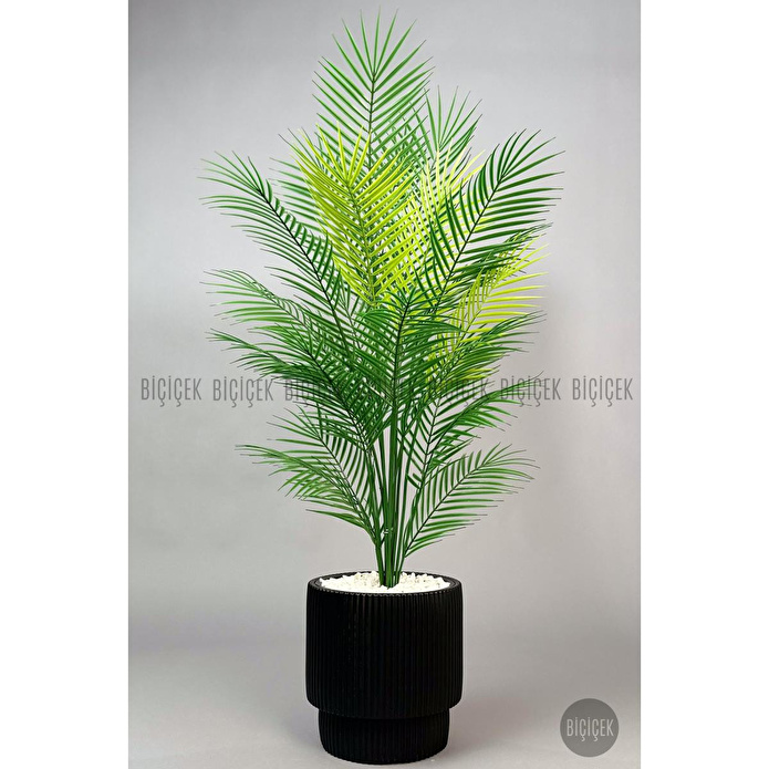 Biçiçek Areka Ağaci 24 Yaprakli 120-130 Cm Siyah