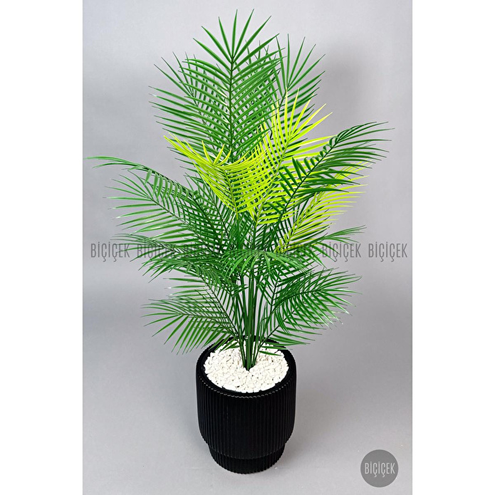 Biçiçek Areka Ağaci 24 Yaprakli 120-130 Cm Siyah