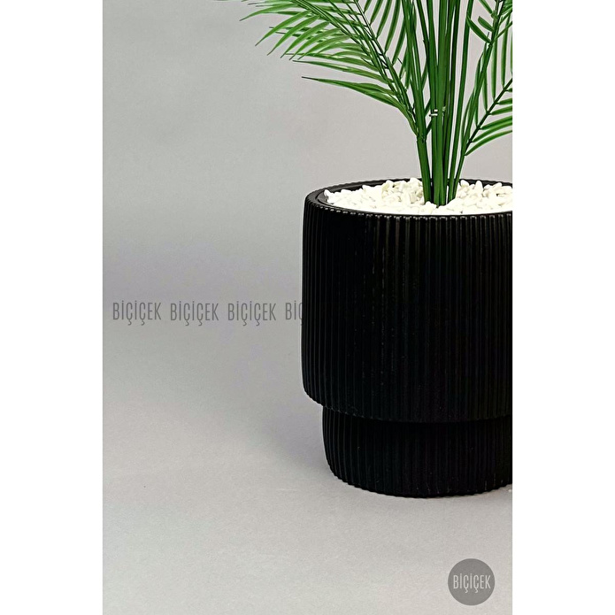 Biçiçek Areka Ağaci 24 Yaprakli 120-130 Cm Siyah