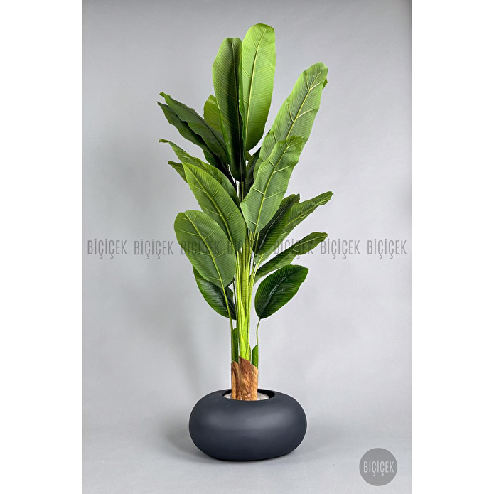 Biçiçek Yapay Muz Ağacı 185-220 Cm Gri1
