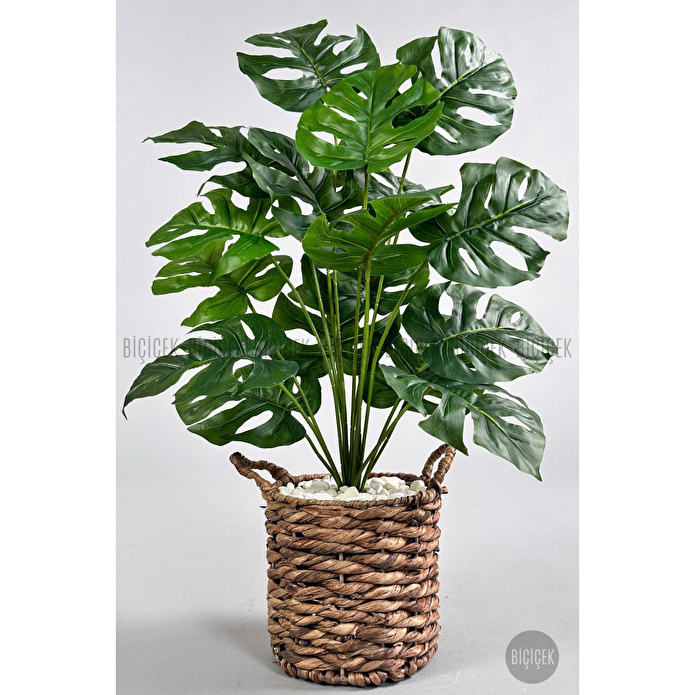 Biçiçek Yapay Monstera Deve Tabanı 65-70 Cm Çok Renkli