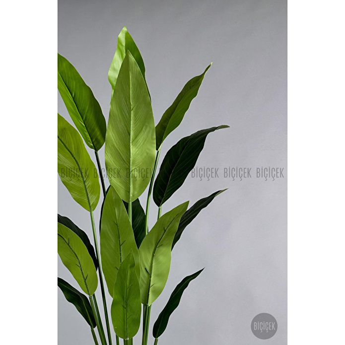 Biçiçek Yapay Starliçe Ağacı 140-170 Cm Beyaz