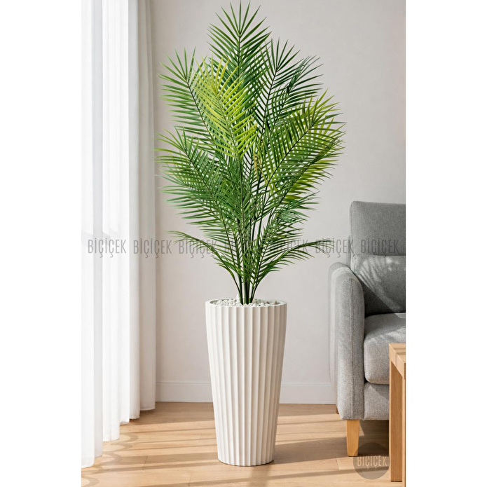 Biçiçek 180 Cm Areka Ağaci 24 Yaprakli Li̇lyum Saksida Beyazlilyum