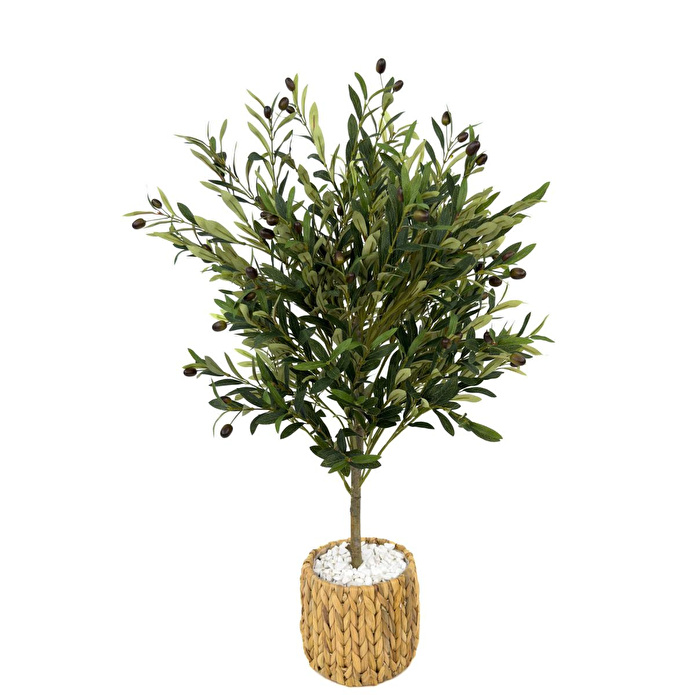 Biçiçek Zeytin Ağacı 100 Cm Hasır Bohem2 Saksıda