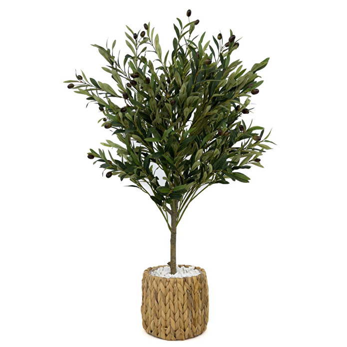 Biçiçek Zeytin Ağacı 100 Cm Hasır Bohem2 Saksıda
