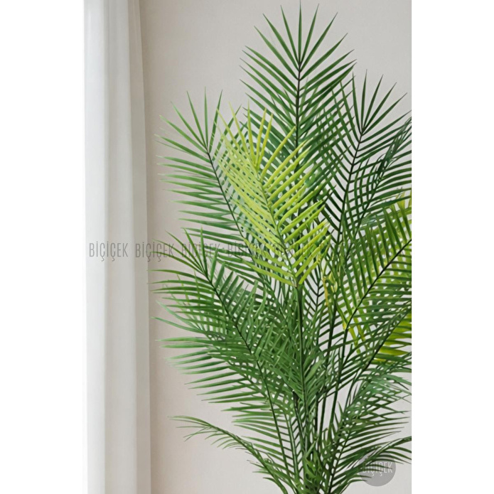 Biçiçek 180 Cm Areka Ağaci 24 Yaprakli Li̇lyum Saksida Antresit