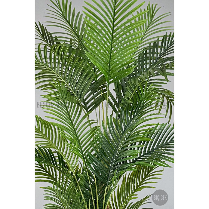 Biçiçek Areka Palmiyesi 220cm Metal Siyah Gold Saksıda