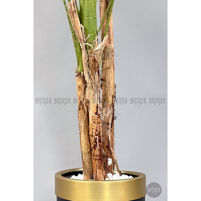 Biçiçek Areka Palmiyesi 220cm Metal Siyah Gold Saksıda