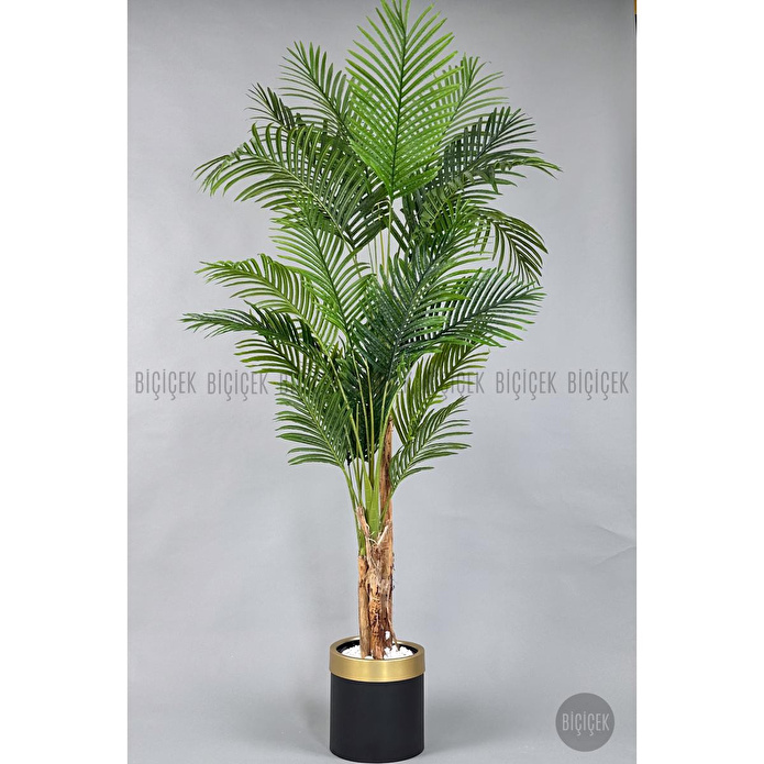 Biçiçek Areka Palmiyesi 220cm Metal Siyah Gold Saksıda