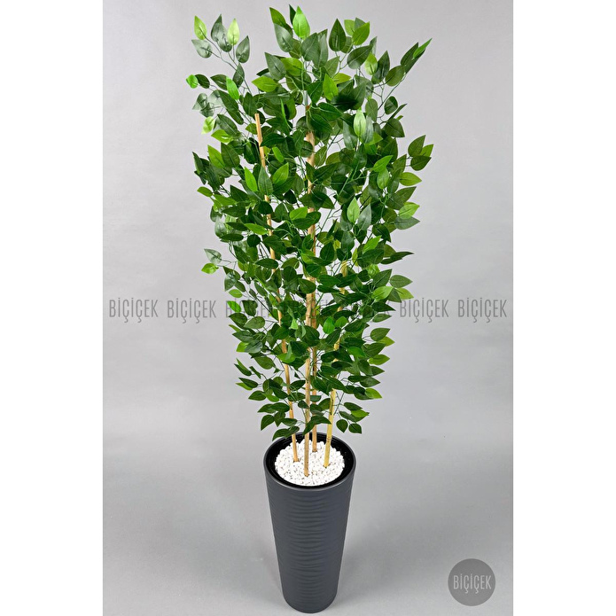 Biçiçek Yapay Benjamin Ağacı 180cm Yoğun Yapraklı Bambu Gövdeli Antrasit Renk Kumsal Saksıda