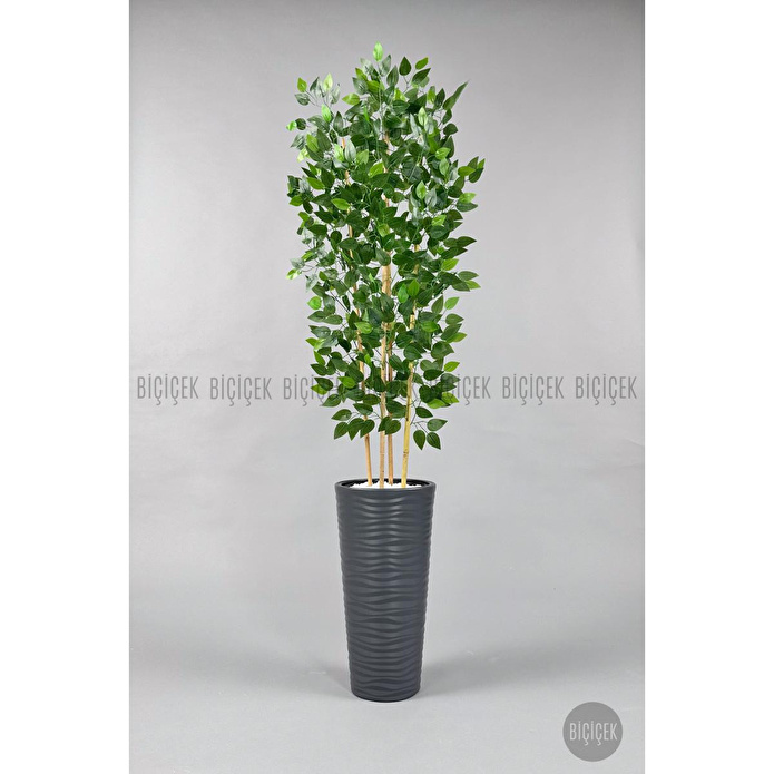 Biçiçek Yapay Benjamin Ağacı 180cm Yoğun Yapraklı Bambu Gövdeli Antrasit Renk Kumsal Saksıda