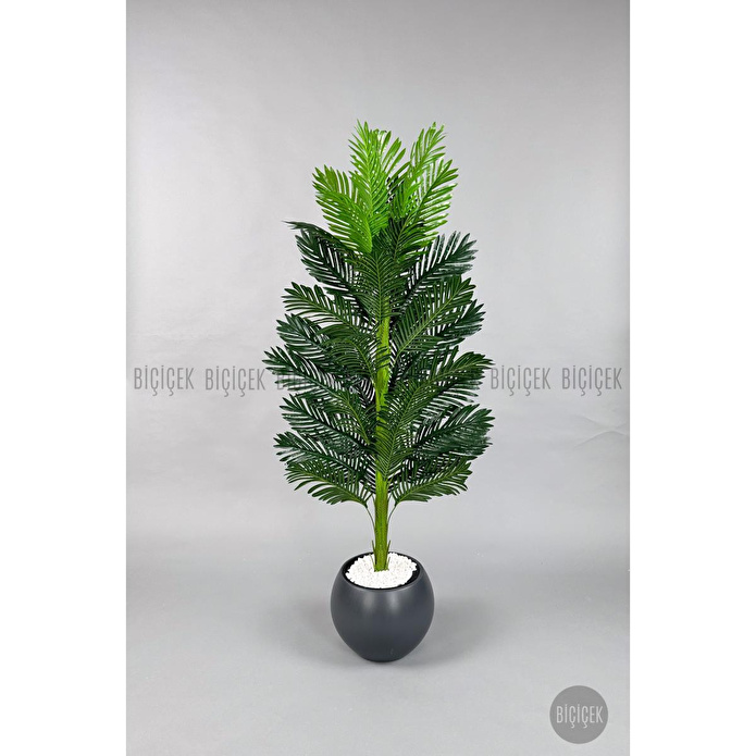 Biçiçek Yapay Areka Ağacı 160-180 Cm Griküre170cm