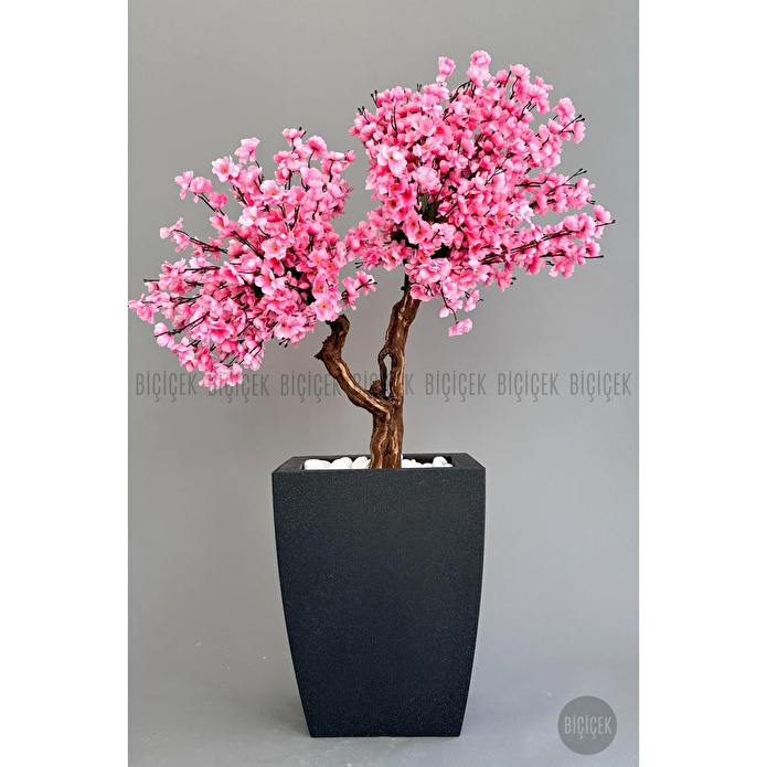 Biçiçek Bonzai Gövdeli Pembe Sakura Ağacı 100cm Dış Mekana Uygun