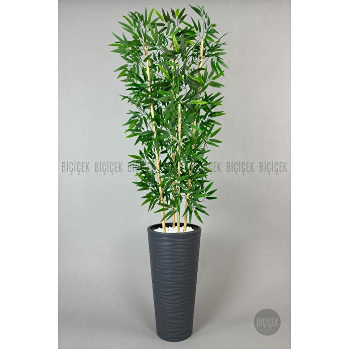 Biçiçek Yapay Bambu Ağacı 180cm Yoğun Yapraklı Antrasit Renk Kumsal Saksıda