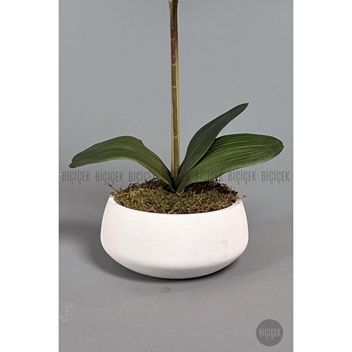 Biçiçek Yapay Çiçek Dekoratif Beton Saksıda Büyük Boy Beyaz Islak Orkide
