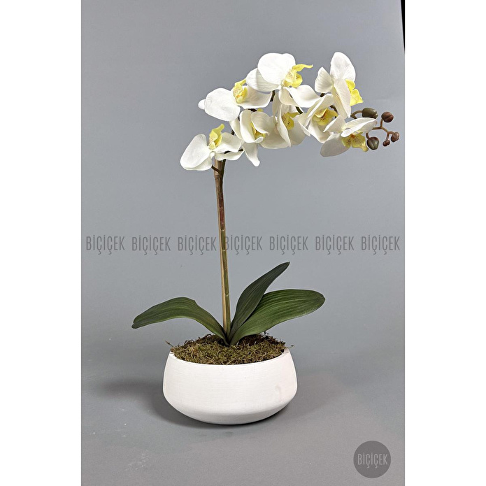Biçiçek Yapay Çiçek Dekoratif Beton Saksıda Büyük Boy Beyaz Islak Orkide