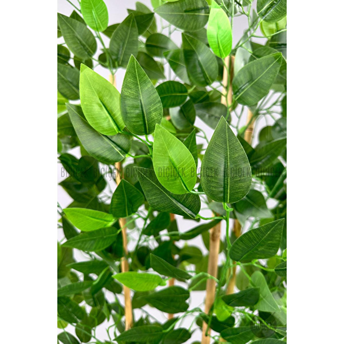 Biçiçek Yapay Benjamin Ağacı 170cm Yoğun Yapraklı Bambu Gövdeli Kırıkbeyaz Renk Nergis Saksıda