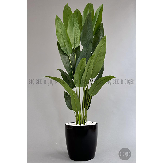 Biçiçek Yapay Ağaç Starliçe 220cm Xxl Boy Siyah Renk Büyük Boy Yakut Saksıda