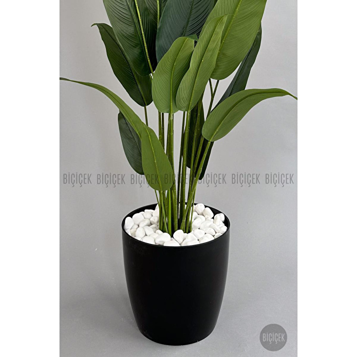 Biçiçek Yapay Ağaç Starliçe 220cm Xxl Boy Siyah Renk Büyük Boy Yakut Saksıda