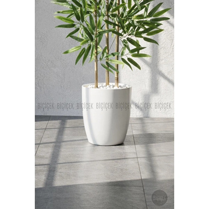 Biçiçek 110 Cm Bambu Ağacı Yakut Saksıda Bej