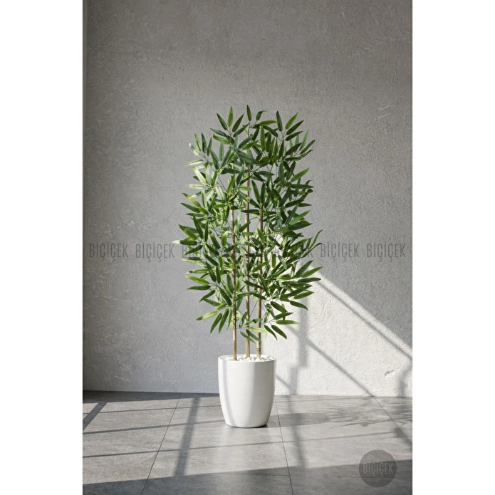 Biçiçek 110 Cm Bambu Ağacı Yakut Saksıda Bej