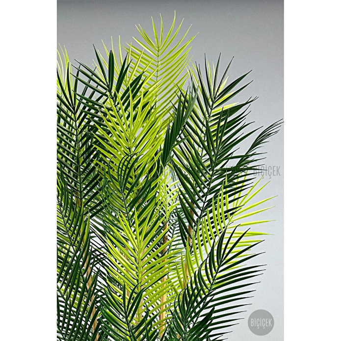 Biçiçek Yapay Areka Palmi̇yesi̇ 6 Gövde Gala Saksida Yoğun Yaprakli 3