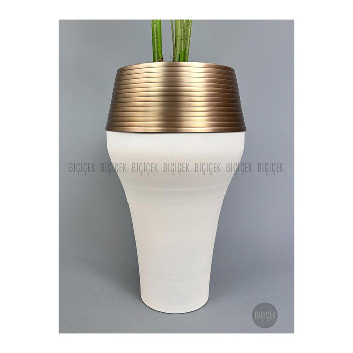 Biçiçek 220cm Starliçe Bitkisi Cleopatra Saksıda Krem Gold