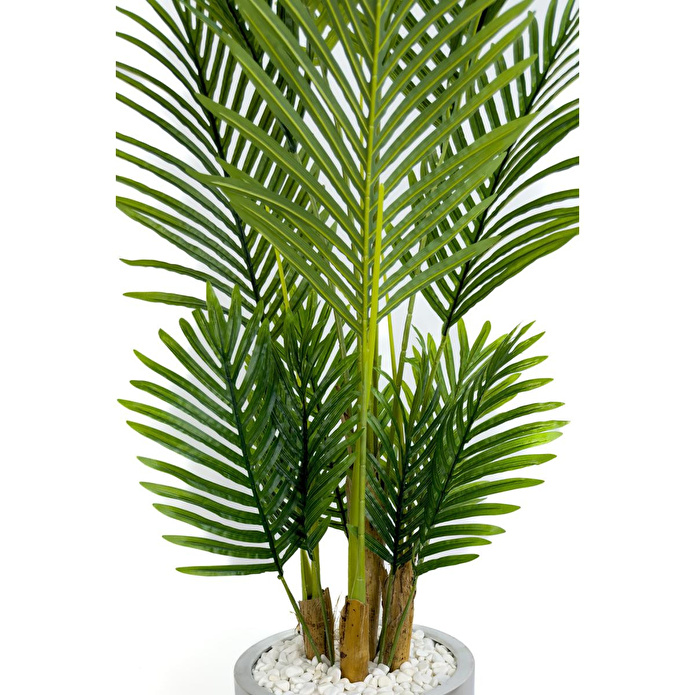 Biçiçek Areka Palmiyesi 160cm Krem Gümüş Metal Darbuka Saksıda