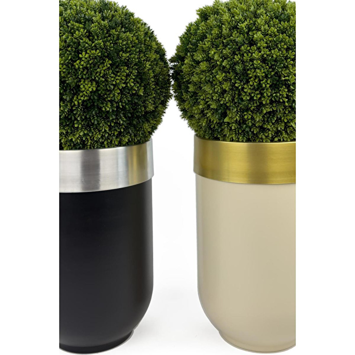 Biçiçek Ikili Şimşir Ağacı 90cm Siyah Ve Krem Darbuka Saksıda