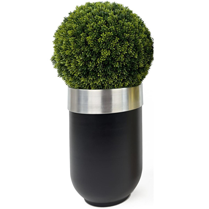 Biçiçek Ikili Şimşir Ağacı 90cm Siyah Ve Krem Darbuka Saksıda