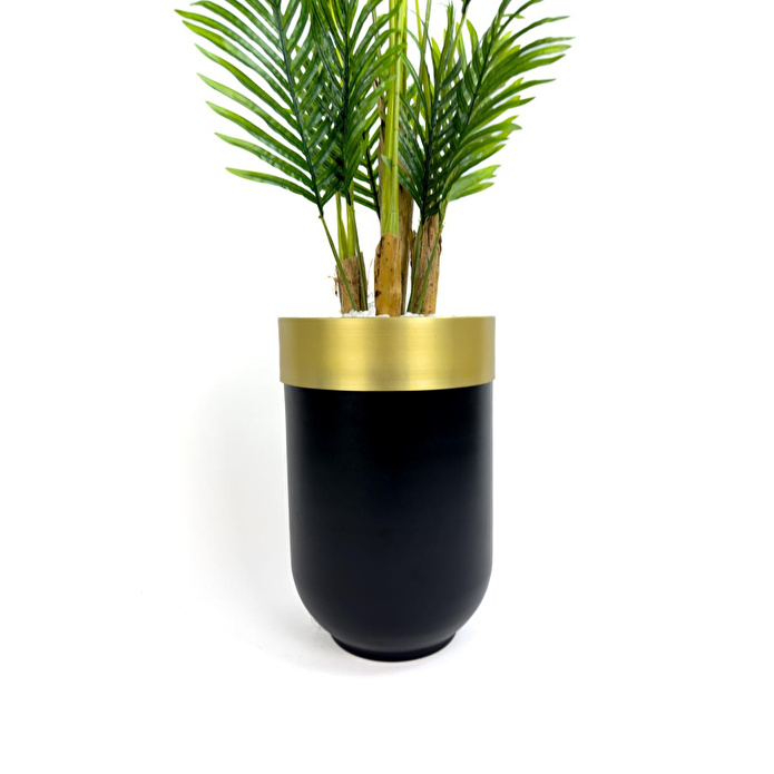 Biçiçek Areka Palmiyesi 160cm Siyah Gold Metal Darbuka Saksıda