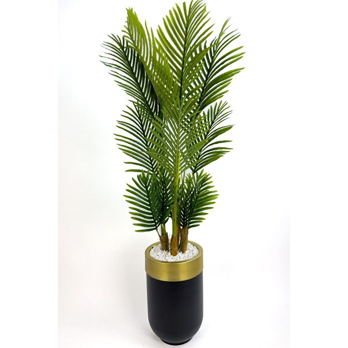 Biçiçek Areka Palmiyesi 160cm Siyah Gold Metal Darbuka Saksıda