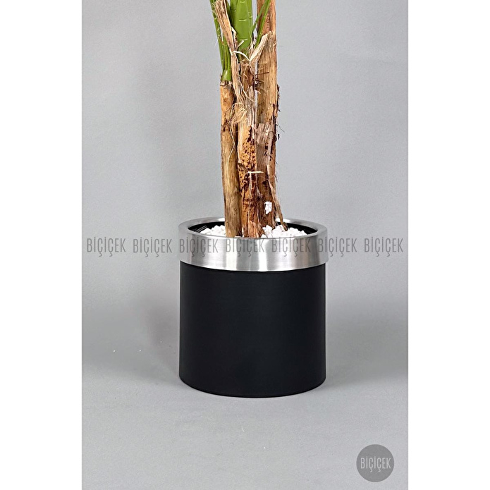 Biçiçek Areka Palmiyesi 220cm Metal Siyah Gümüş Saksıda