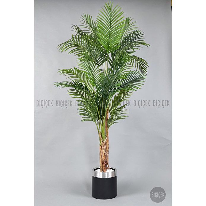 Biçiçek Areka Palmiyesi 220cm Metal Siyah Gümüş Saksıda