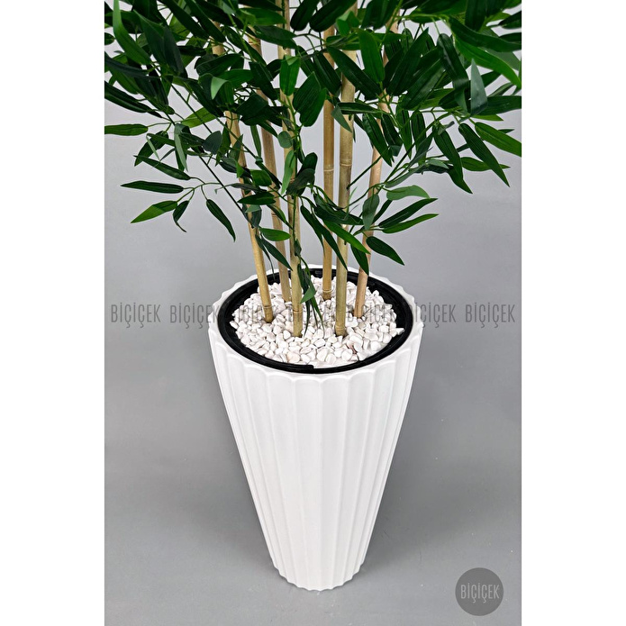 Biçiçek Yapay Bambu Ve Benjamin 6 Dallı Yoğun Yapraklı 220 Cm Beyazbambu