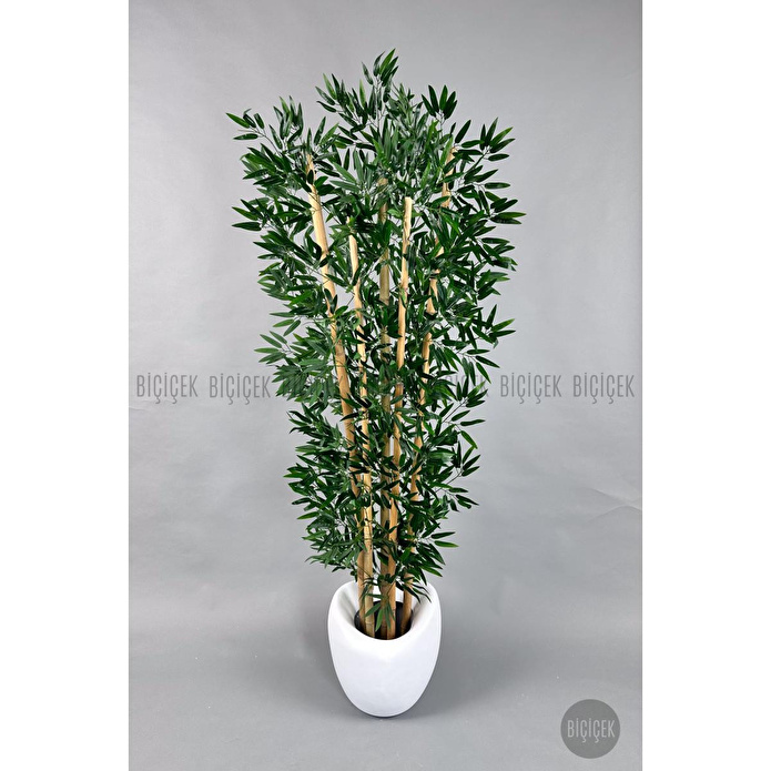 Biçiçek Zen Bambu Ağacı 220-240 Cm Fiber Saksıda Beyazfiber2