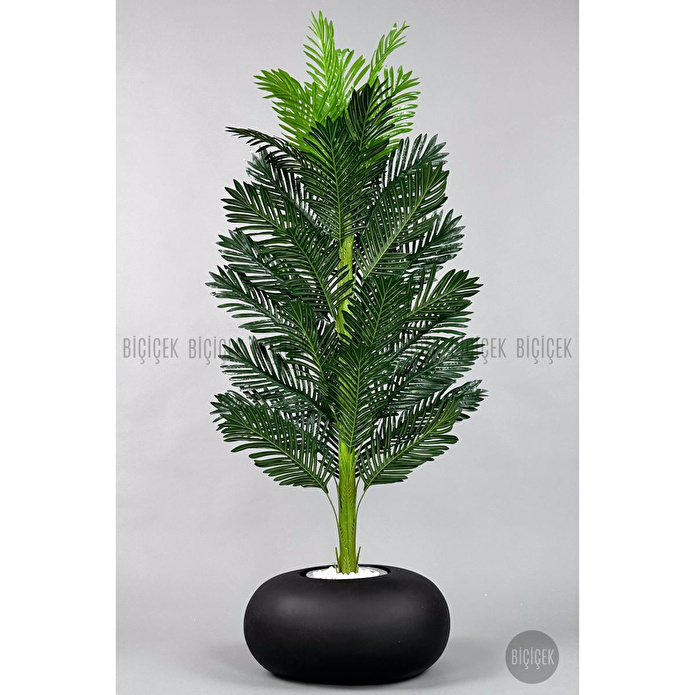 Biçiçek Yapay Areka Ağacı 160-180 Cm Siyahfi̇ber170cm
